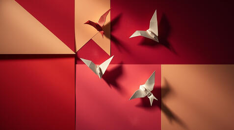 Origami Birds. LinkedIn Banner Imagery.